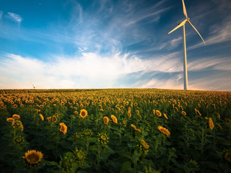 economie d'energie